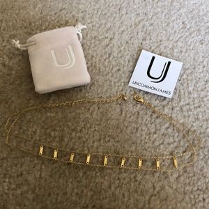 BRAND NEW Double Decker Uncommon James Necklace